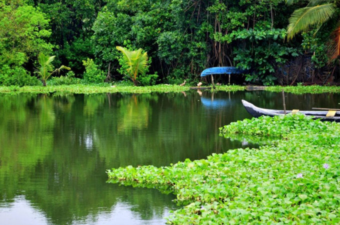 Kerala beyond the Backwaters – Top 10 Places to Visit in Kerala