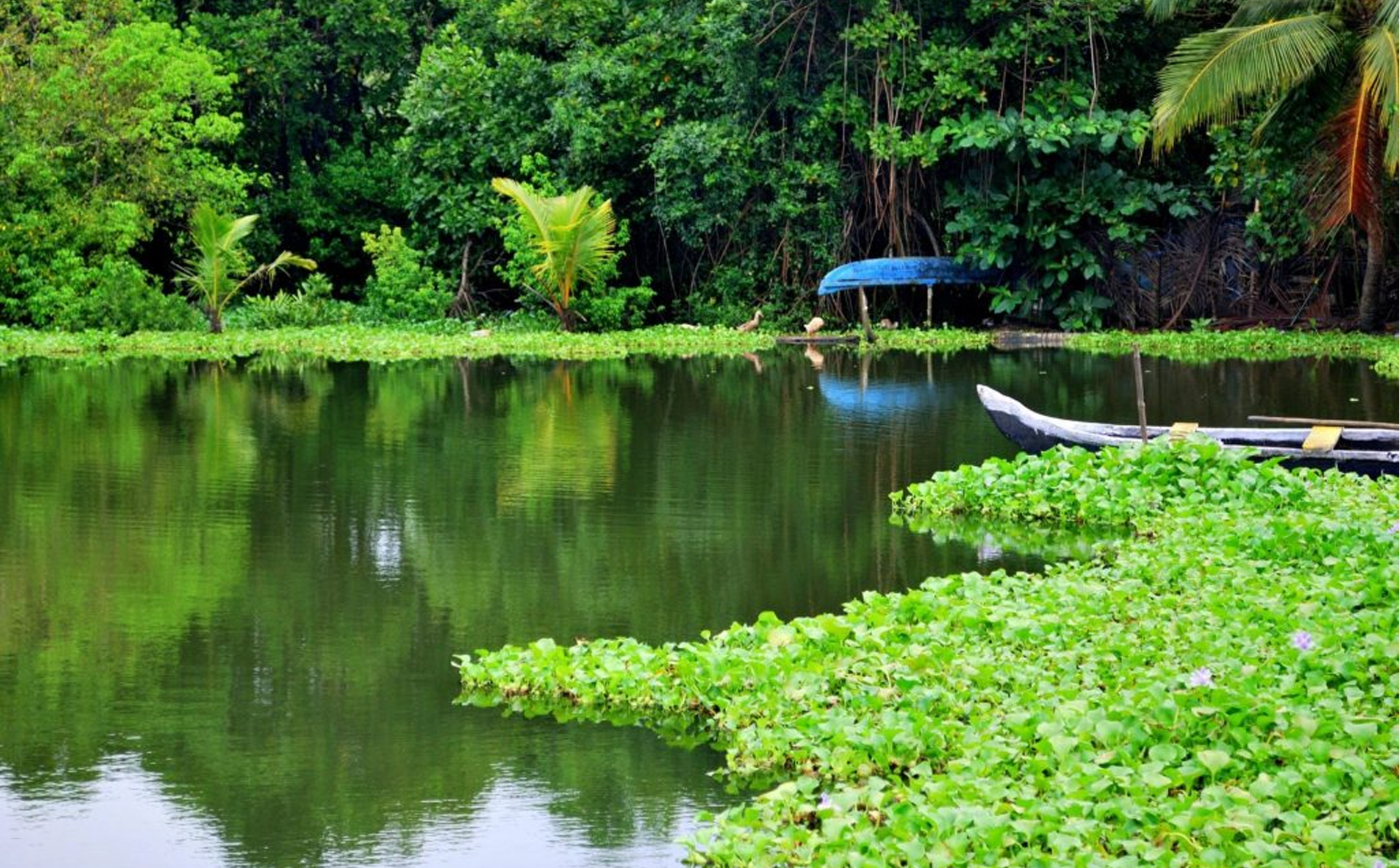 Kerala beyond the Backwaters – Top 10 Places to Visit in Kerala