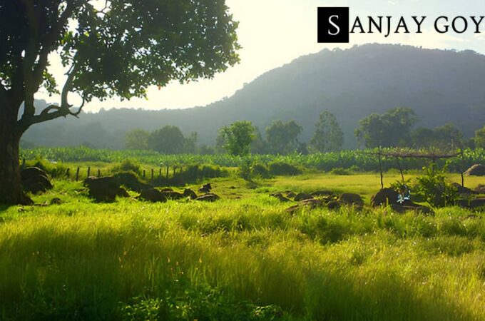 The Perfect Guide To A Memorable Weekend In Yelagiri Hills