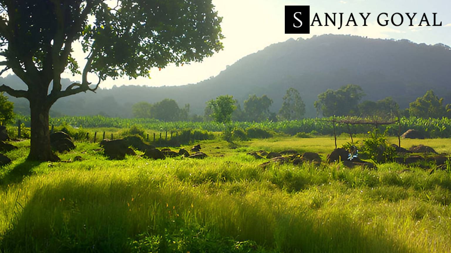 The Perfect Guide To A Memorable Weekend In Yelagiri Hills